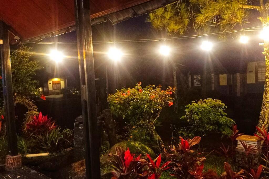 Designer Villa Tokyo Cianjur Eksteriør billede