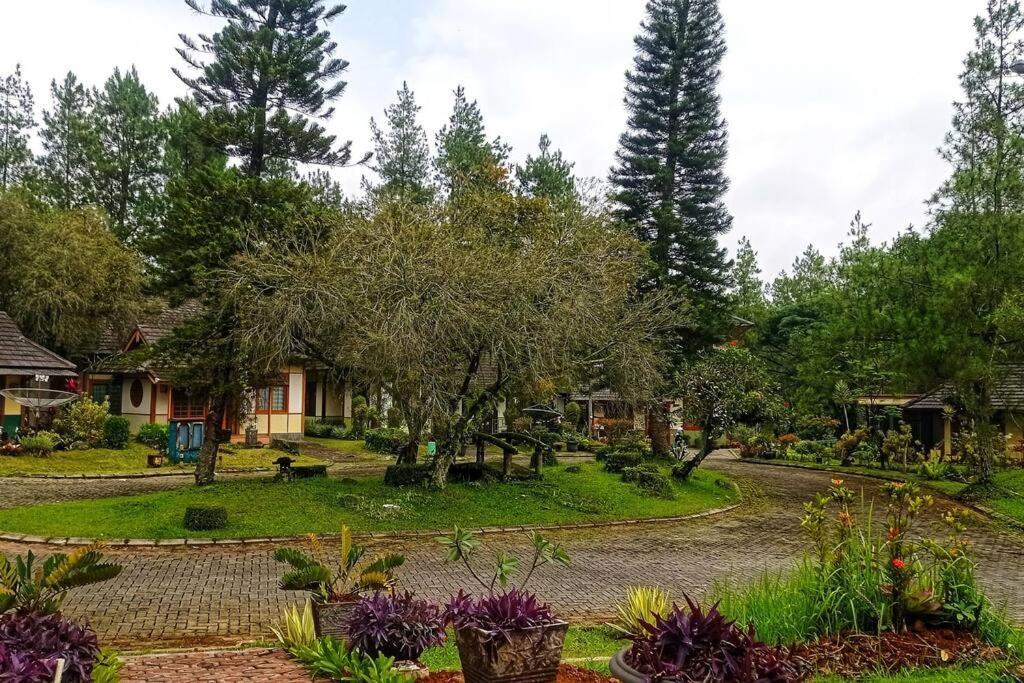 Designer Villa Tokyo Cianjur Eksteriør billede